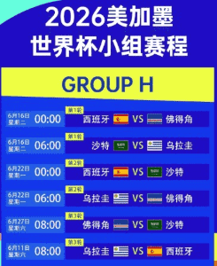 全新世界杯官方比赛用球，白色基底搭配金色纹路